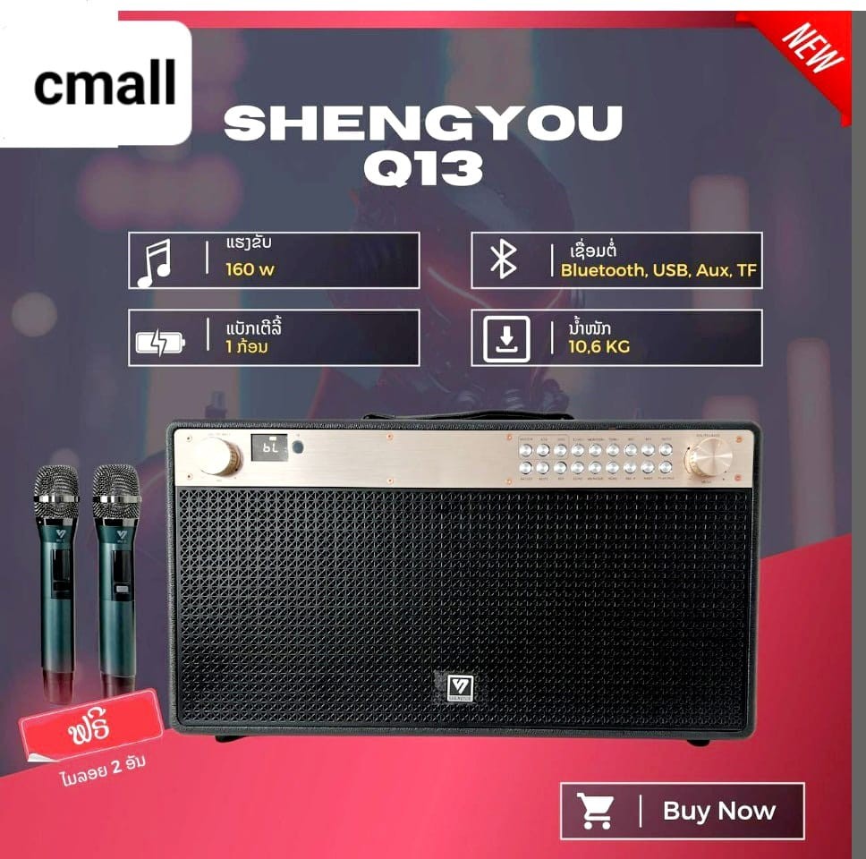 ລຳໂພງບລູທູດ Shengyou Q13 , ຄວາມແຮງ160w , ແຖມກະເປົາຕູ້ແລະກະເປົາໄມ, ສຽງດີມາດຕະຖານ,ຮັບປະກັນຟຮີ 1ປີ