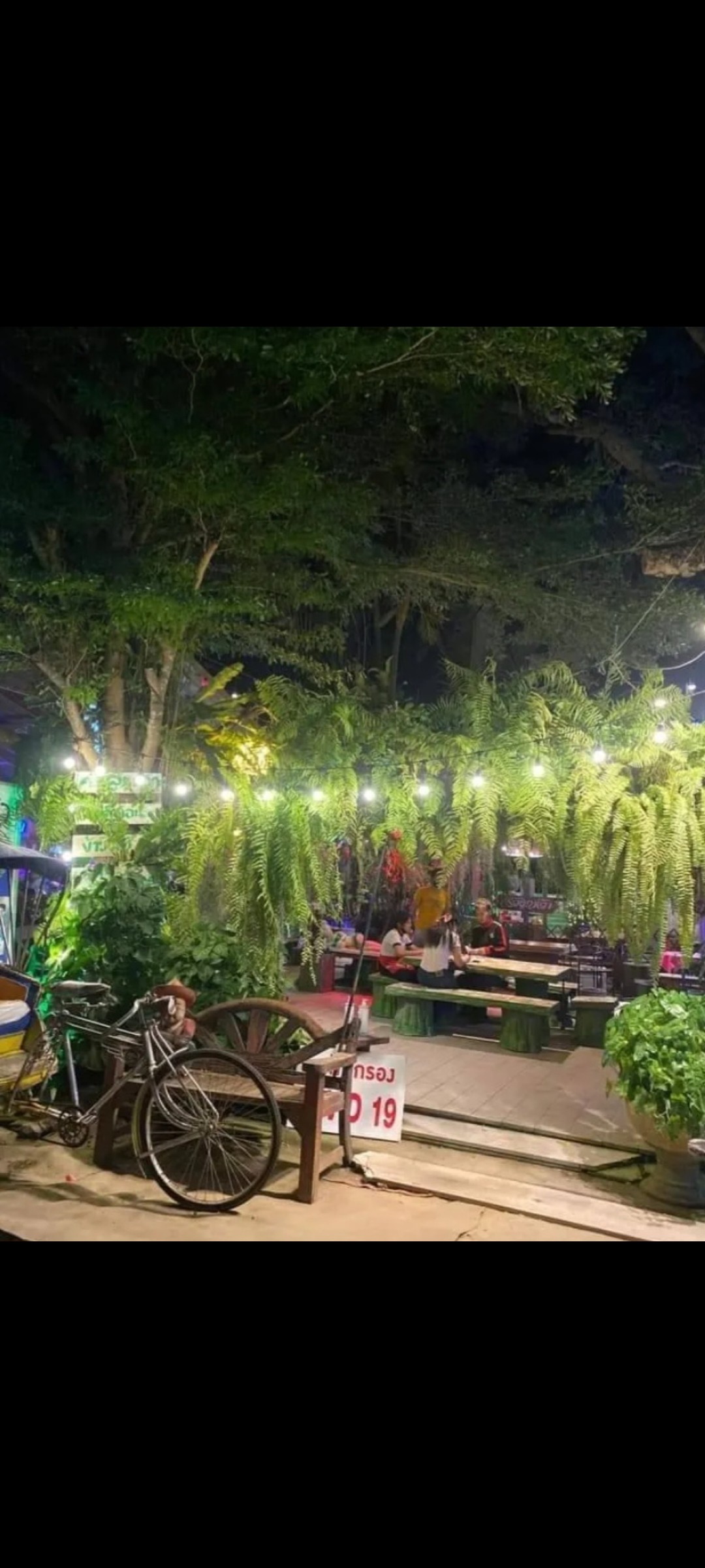 ດອກໄຟປິ່ງປ່ອງ ຍາວ10ແມັດ 20ດອກ ກັນແດດກັນຝົນ ດອກໄຟປະດັບຕົກແຕ່ງງານລ້ຽງ, ງານສ້າງສັນ, ຕົກແຕ່ງບ້ານ ແລະ ຮ້ານກິນດື່ມ
